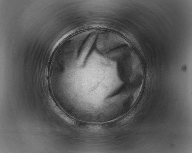 X0000116640798200912291554