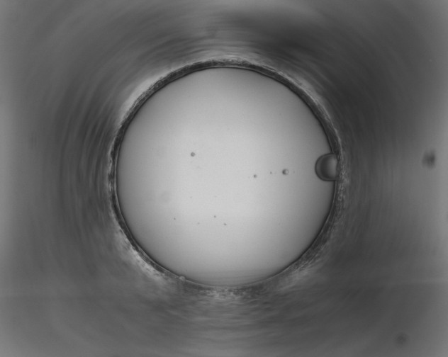 X0000116640799200912291554