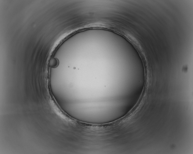 X0000116640800200912291554