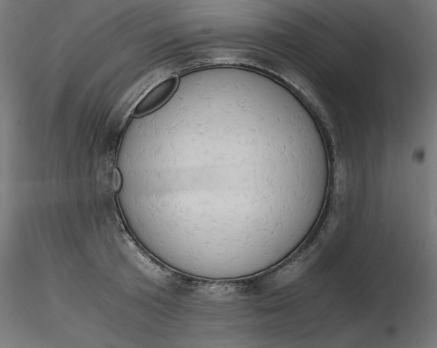 X0000116640801200912291554