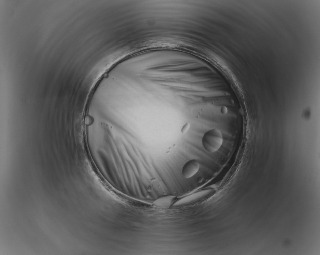 X0000116640802200912291554