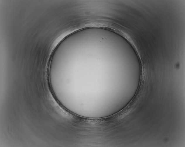 X0000116640803200912291554