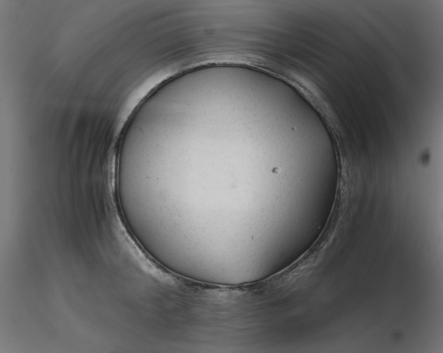 X0000116640804200912291554