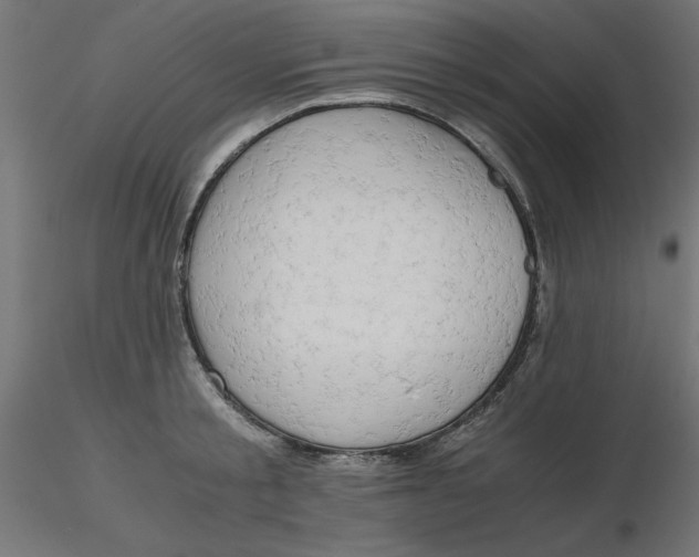 X0000116640805200912291554