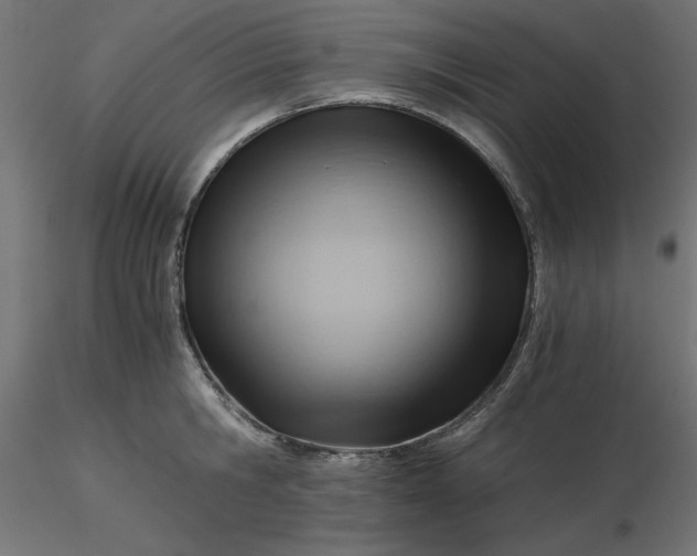 X0000116640806200912291554