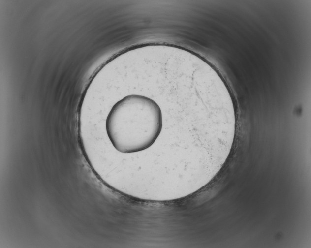 X0000116640807200912291554