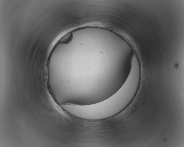 X0000116640808200912291554