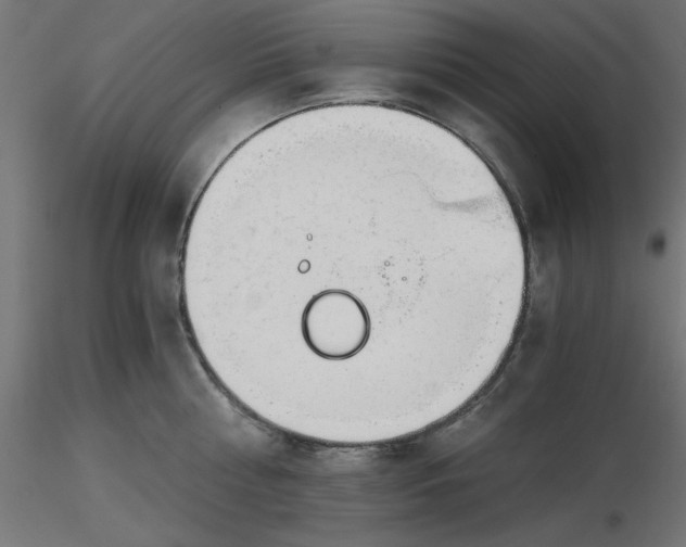 X0000116640810200912291554