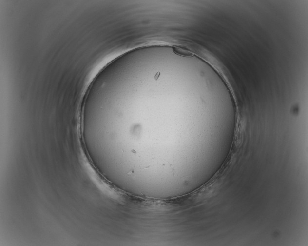 X0000116640811200912291554