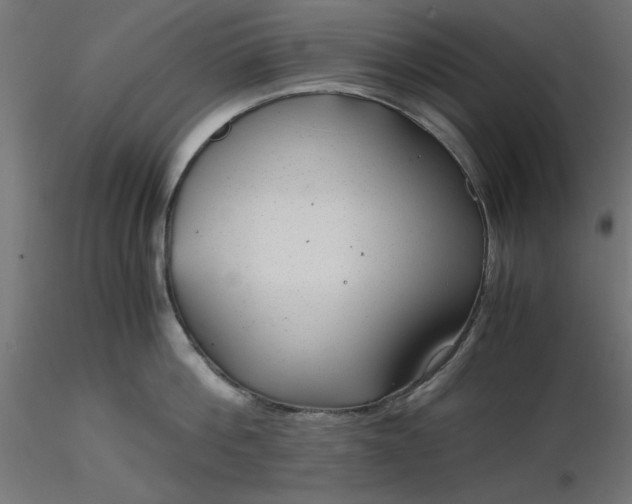 X0000116640812200912291554