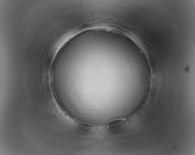 X0000116640813200912291554