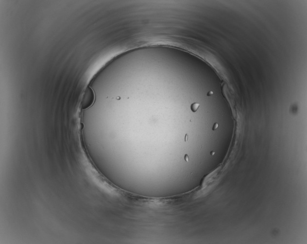 X0000116640814200912291554