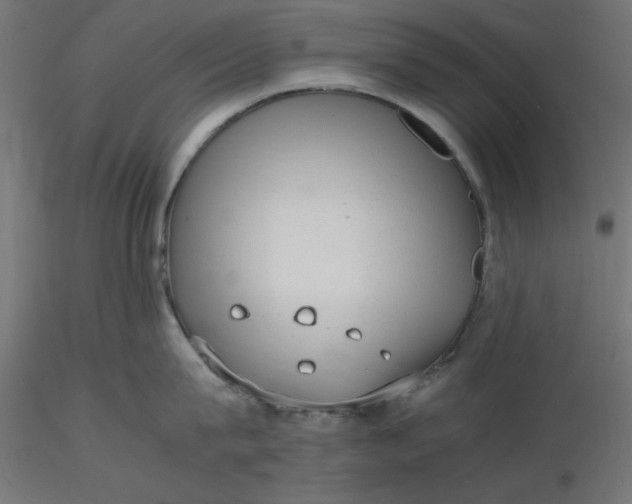 X0000116640815200912291554