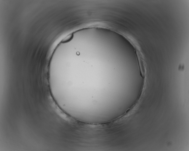 X0000116640816200912291554