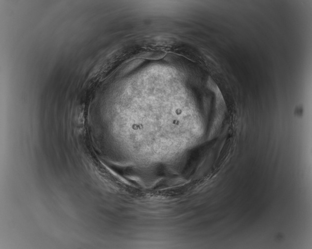 X0000116640818200912291553