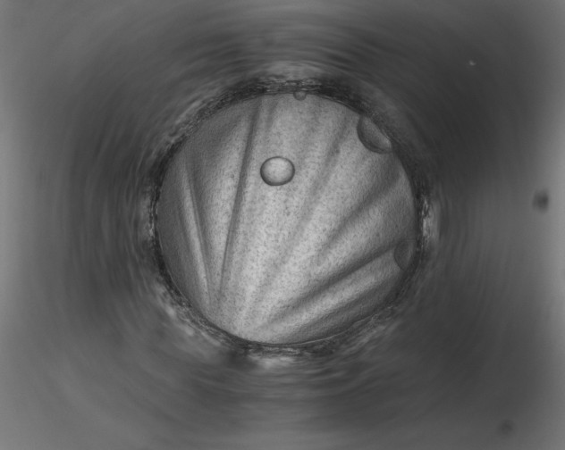 X0000116640819200912291553