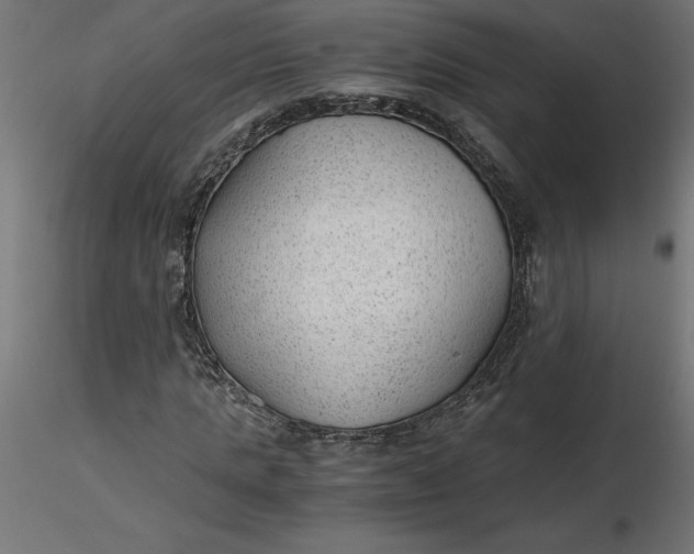 X0000116640821200912291553