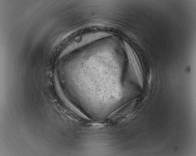 X0000116640822200912291553