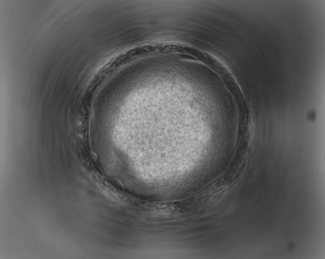 X0000116640823200912291553