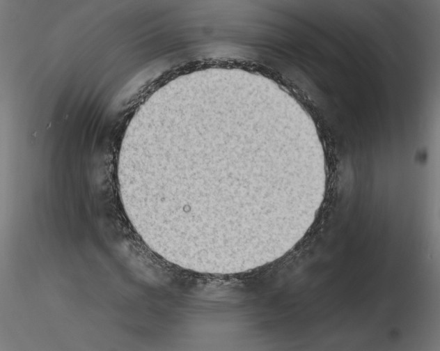 X0000116640824200912291553