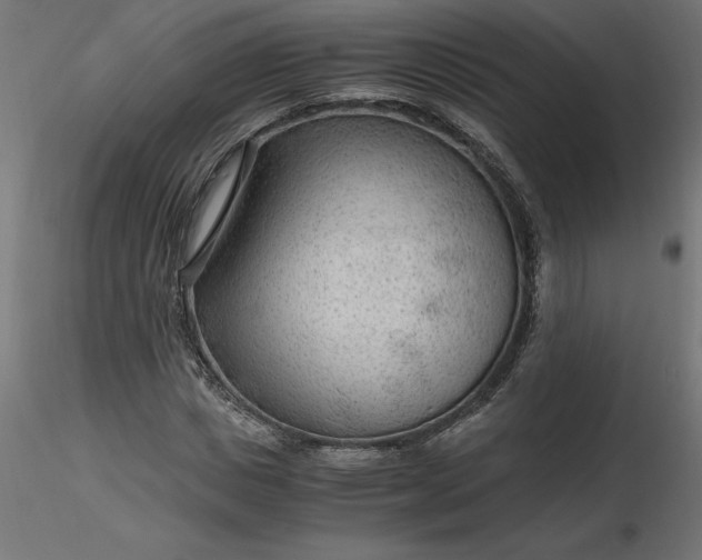 X0000116640825200912291553