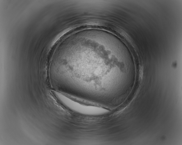 X0000116640829200912291553