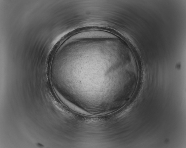 X0000116640830200912291553