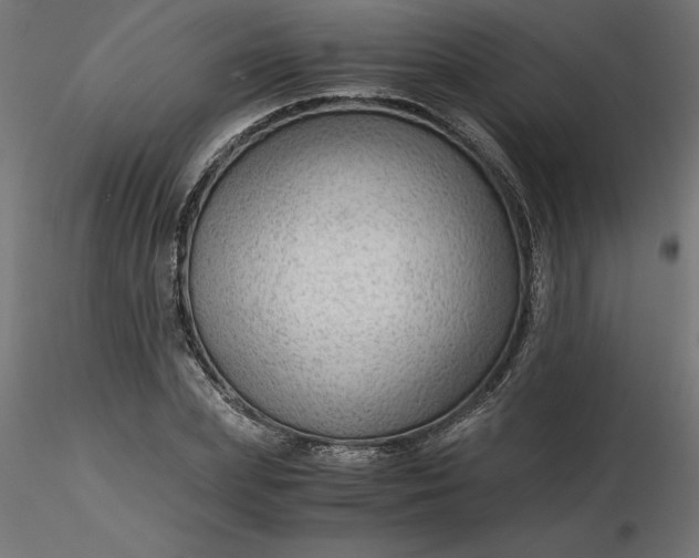 X0000116640831200912291553