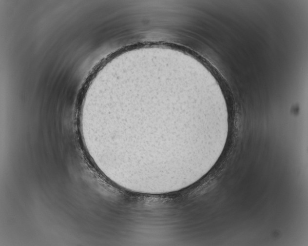 X0000116640832200912291553