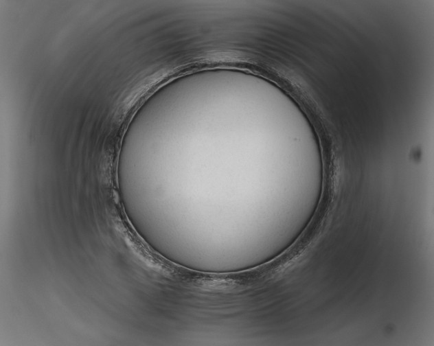 X0000116640833200912291553