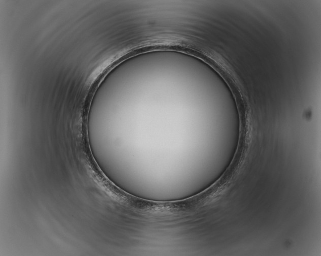 X0000116640834200912291553