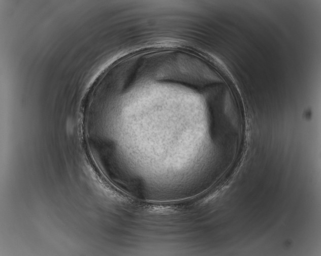 X0000116640835200912291553