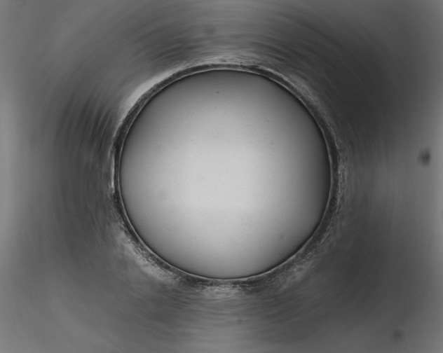 X0000116640838200912291553