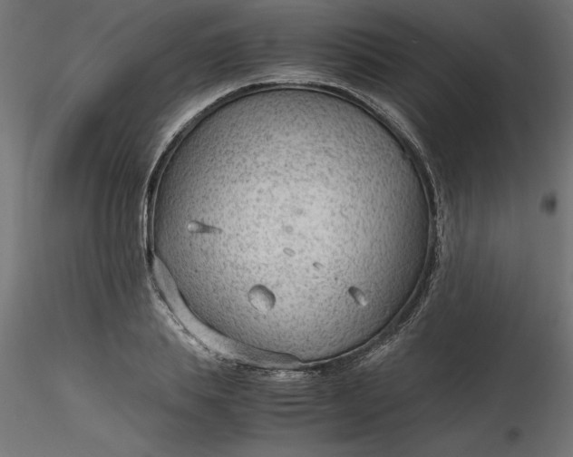 X0000116640839200912291553