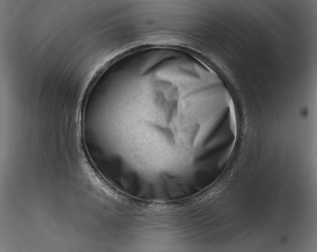 X0000116640840200912291553