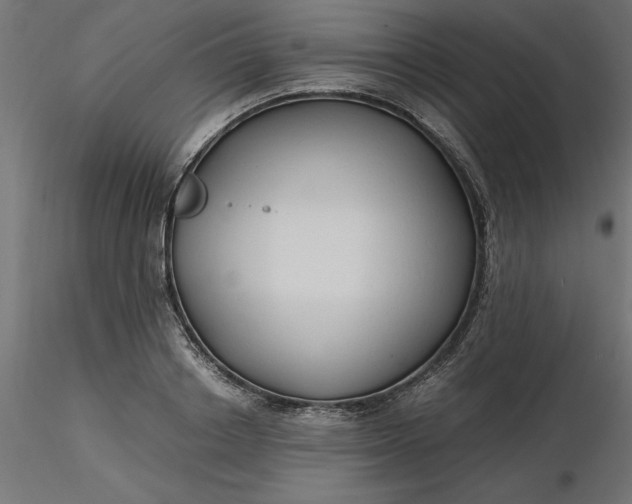 X0000116640842200912291553