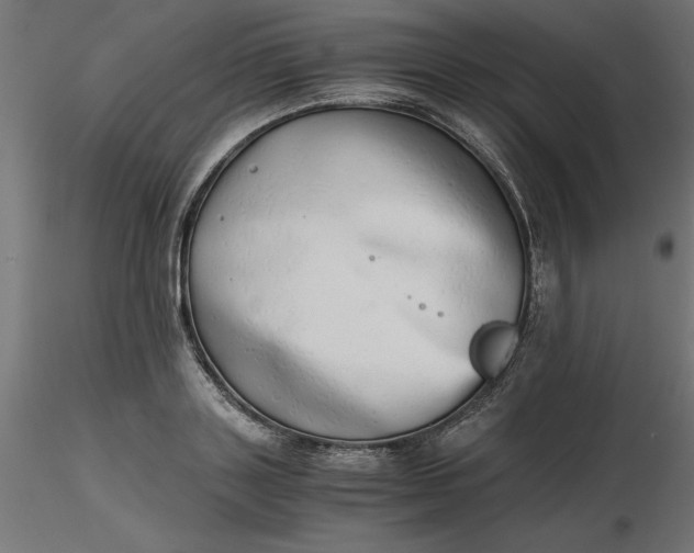 X0000116640843200912291553