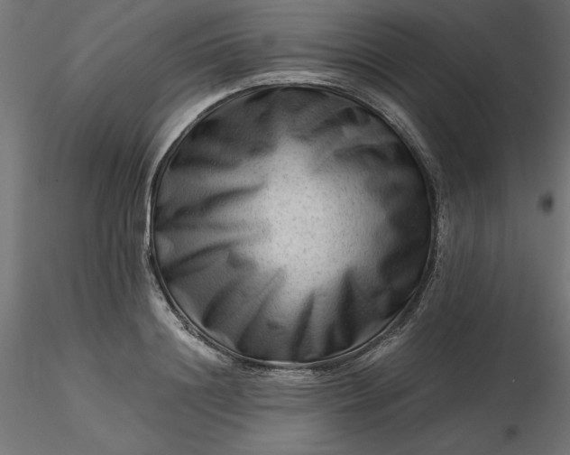 X0000116640844200912291553