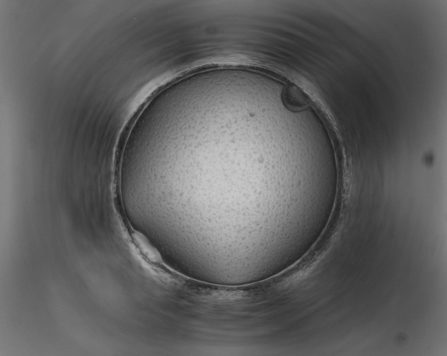 X0000116640845200912291553