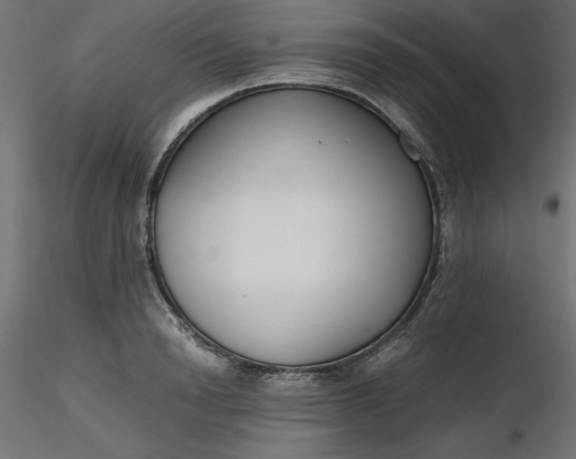 X0000116640846200912291553