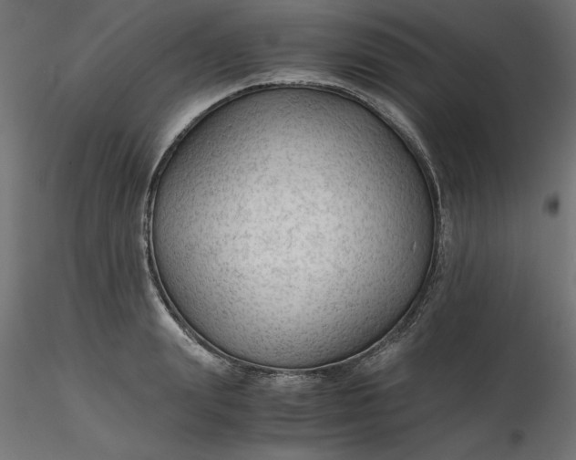 X0000116640847200912291554