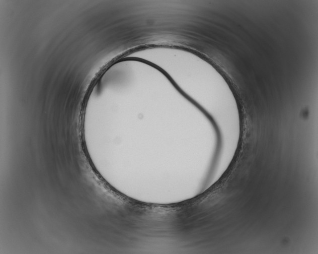 X0000116640848200912291554