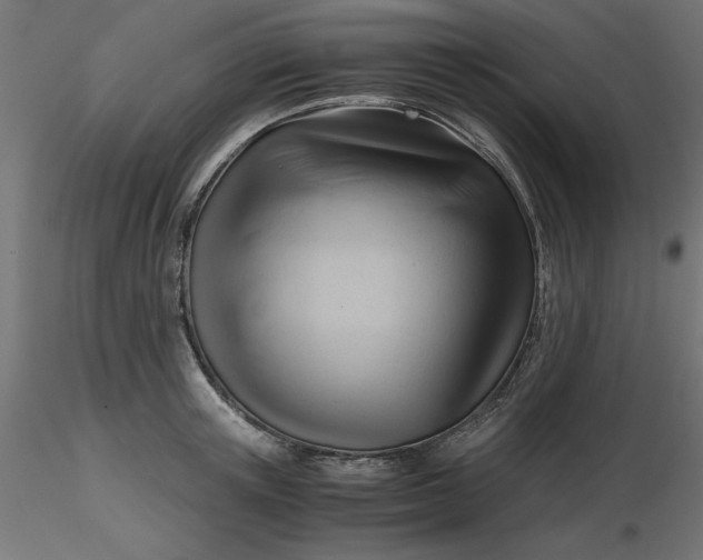 X0000116640851200912291554