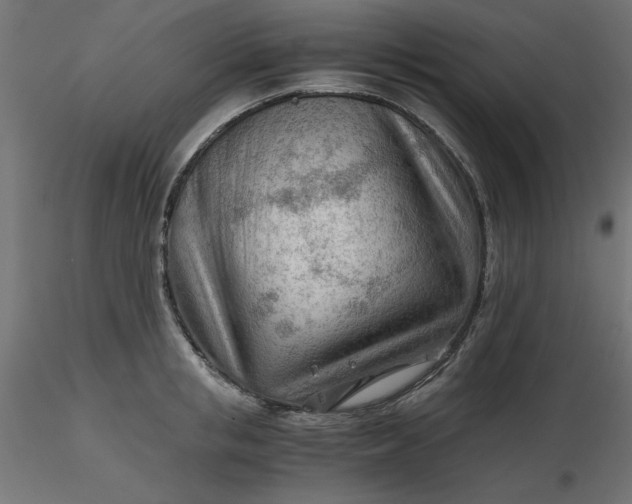 X0000116640853200912291554