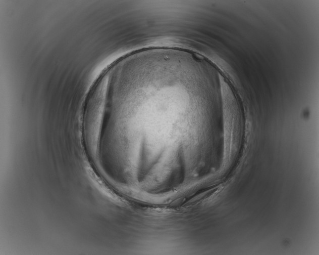 X0000116640854200912291554