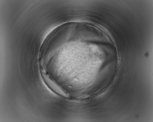 X0000116640855200912291554