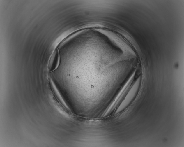 X0000116640858200912291554