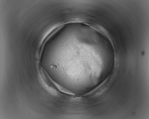 X0000116640859200912291554