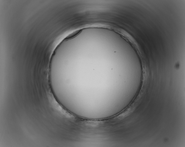 X0000116640860200912291554