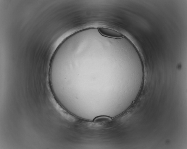 X0000116640861200912291554